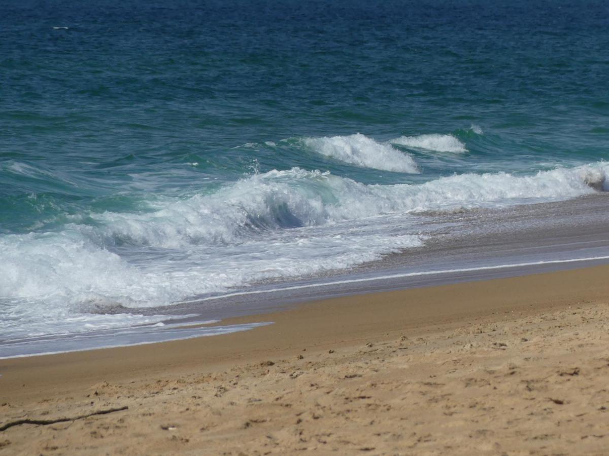 Toki Eder Chez Marisol, Piscine Chauffee, Decoration Soignee Et Ocean A 15 Minutes Entre Bayonne Et Hossegor Villa Saint-Martin-de-Seignanx ภายนอก รูปภาพ
